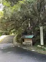 倭文神社の御朱印