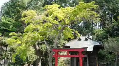 観音寺(千葉県)