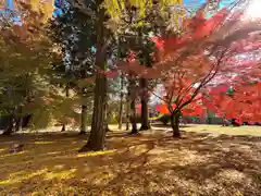 眞田神社(長野県)