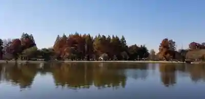 徳島稲荷神社の周辺