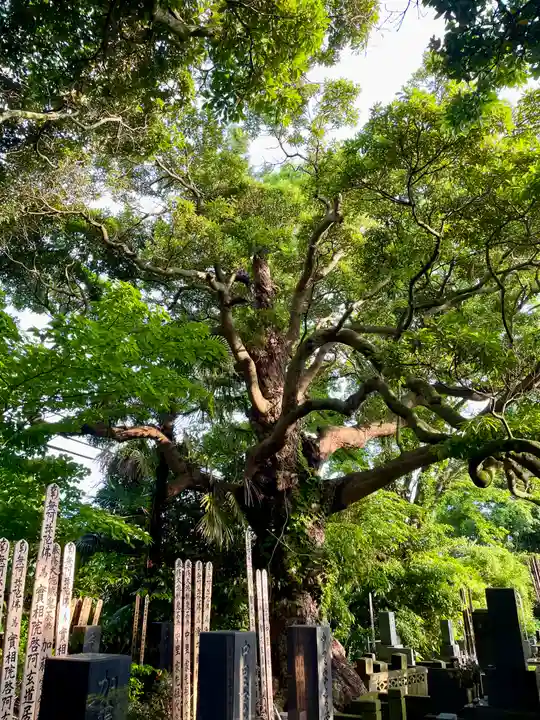 長生院(神奈川県)