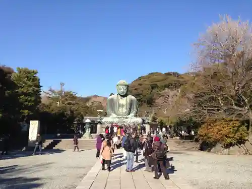 高徳院(神奈川県)
