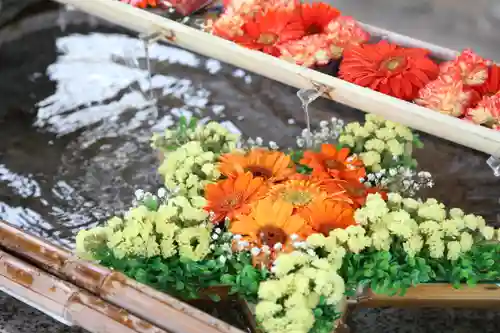 星置神社の手水