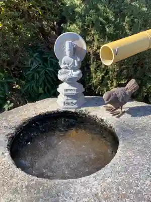 観音寺(栃木県)