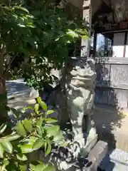 小宅神社の狛犬