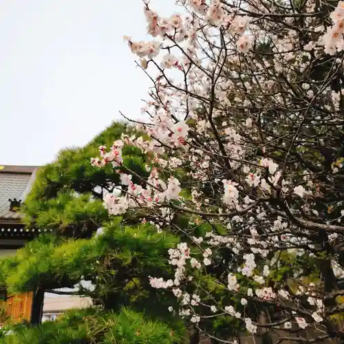 藥王寺(東京都)
