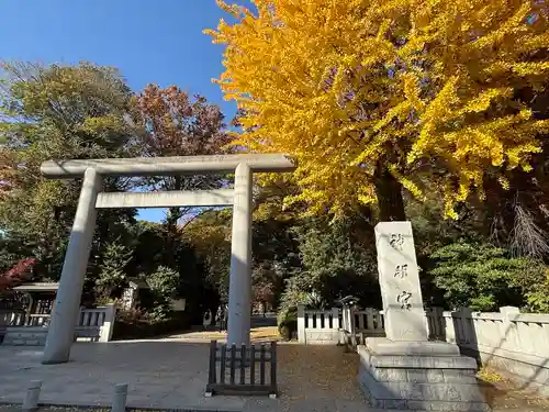 阿佐ヶ谷神明宮(東京都)