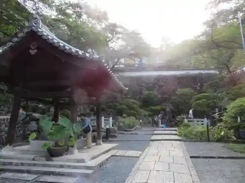 岡寺（龍蓋寺）の手水舎