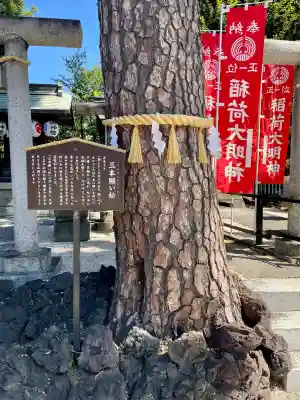 中野沼袋氷川神社の{uncategorized: "未分類", other: "その他", undefined: "問題あり", building: "その他建物", grave: "お墓", sacred_gate: "鳥居", guardian: "狛犬", statue: "像", buddha: "仏像", history: "歴史", nature: "自然", garden: "庭園", animal: "動物", pagoda: "塔", temizu: "手水舎", mountain_gate: "山門・神門", sanctuary: "本殿・本堂", subordinate: "末社・摂社", art: "芸術", scenery: "景色", jizo: "地蔵", ema: "絵馬", goshuin: "御朱印", omikuji: "おみくじ", items: "授与品その他", amulet: "お守り", goshuincho: "御朱印帳", eats: "食事", festival: "お祭り", votive_dance: "神楽", shichigosan: "七五三参", wedding: "結婚式", experience: "体験その他", initially: "初詣", around: "周辺", anti_infection: "感染症対策"}