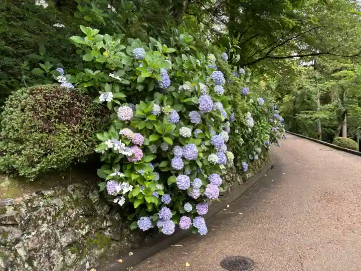 長谷寺(奈良県)