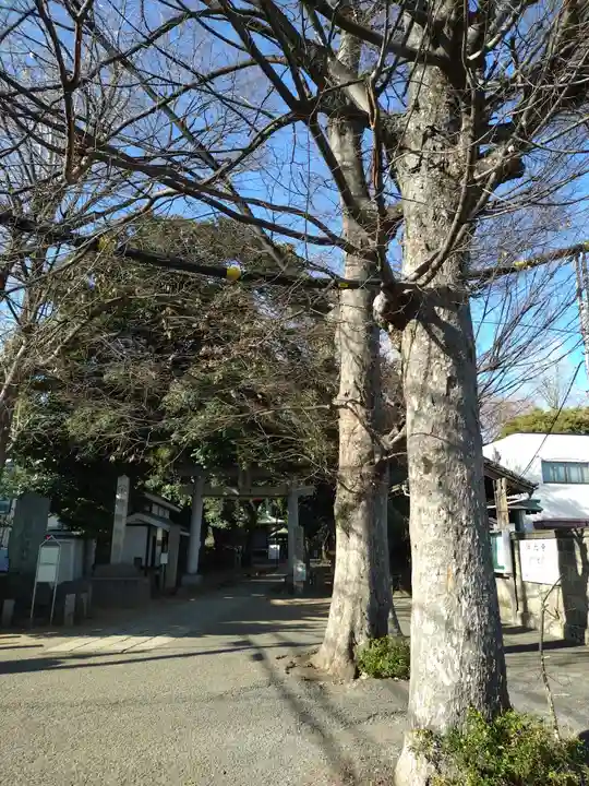諏方神社(東京都)