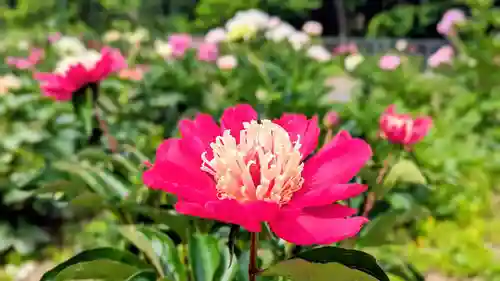 金蛇水神社(宮城県)