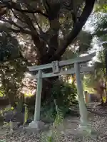 天満宮(千葉県)