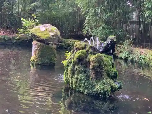 霧島神宮の庭園