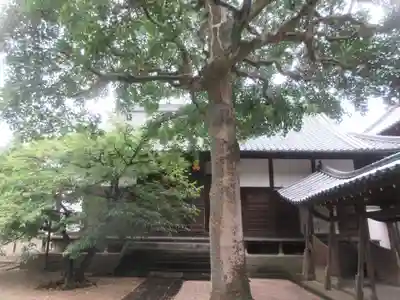 梅林寺(福岡県)