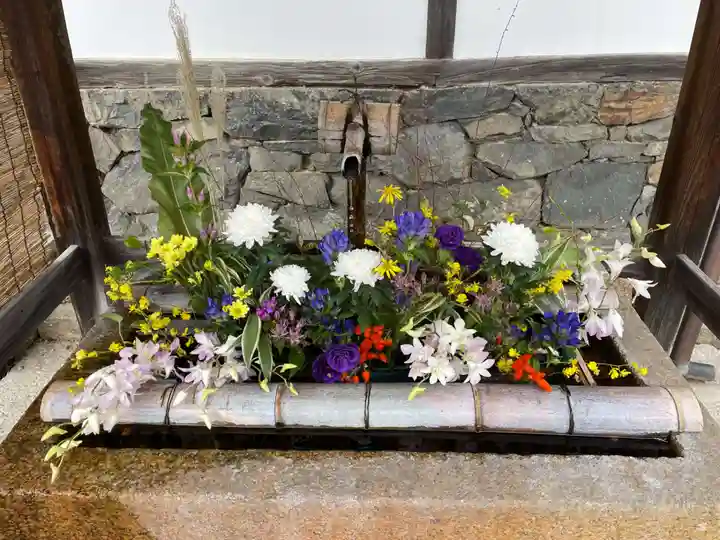 興聖寺(興聖寶林禅寺)(京都府)