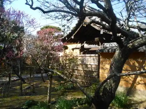 宝戒寺の庭園