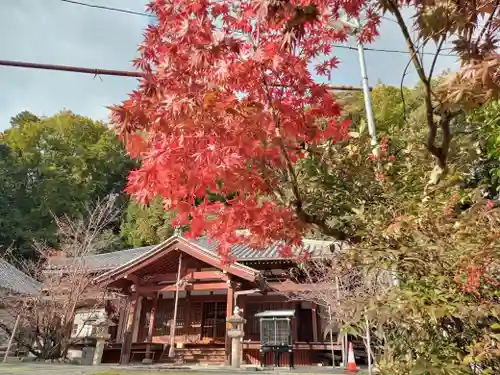 安岡寺(大阪府)
