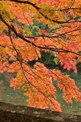 永源寺(滋賀県)