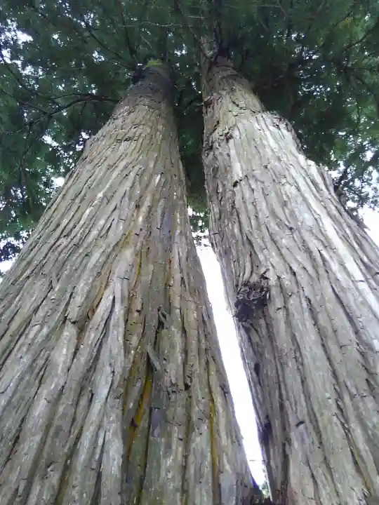 高司神社〜むすびの神の鎮まる社〜の自然