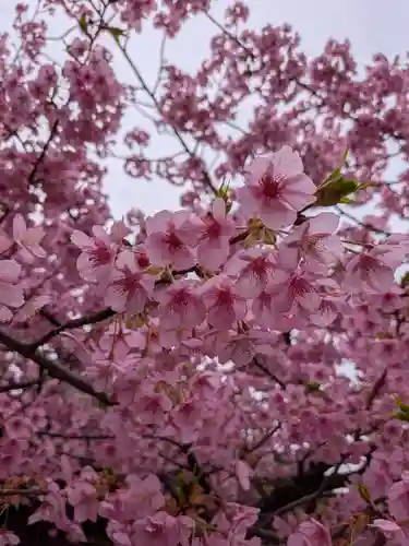 新宿下落合氷川神社(東京都)