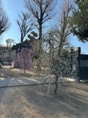 寛永寺(根本中堂)(東京都)