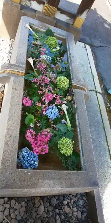 長野縣護國神社の手水舎