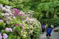 大興善寺(佐賀県)