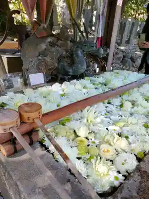 清洲山王宮　日吉神社の手水舎