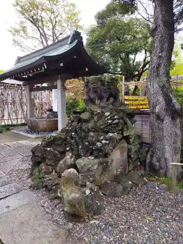 菊田神社の狛犬