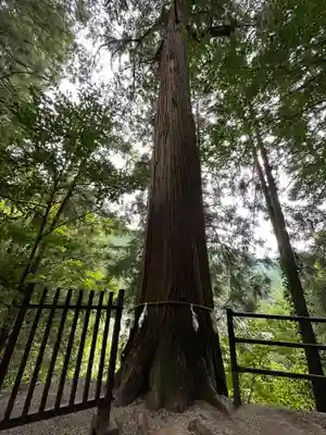 金持神社(鳥取県)