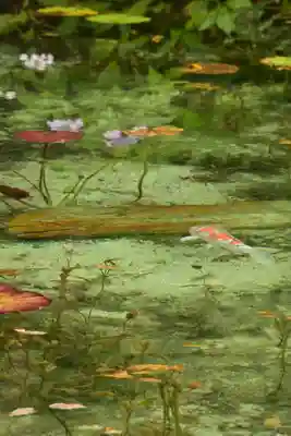 根道神社(岐阜県)