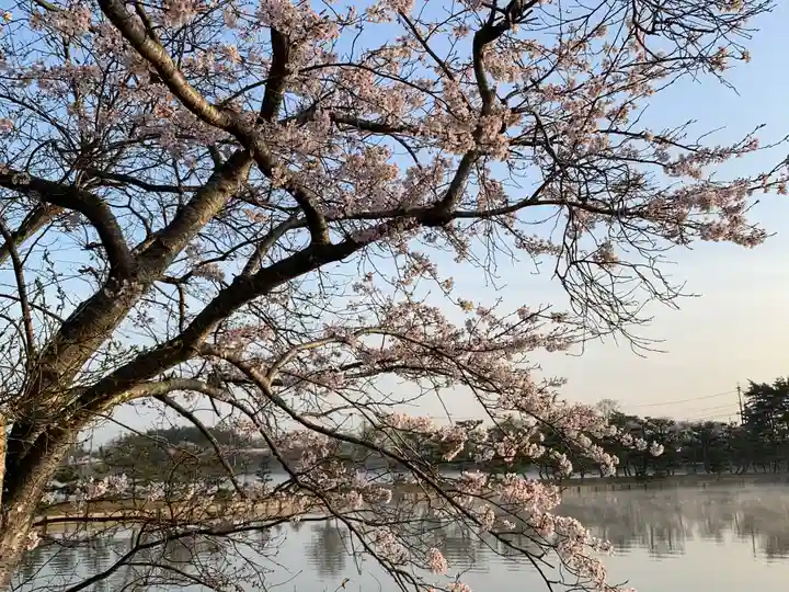 牟禮山観音禅寺の自然