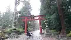 大崎八幡宮の鳥居