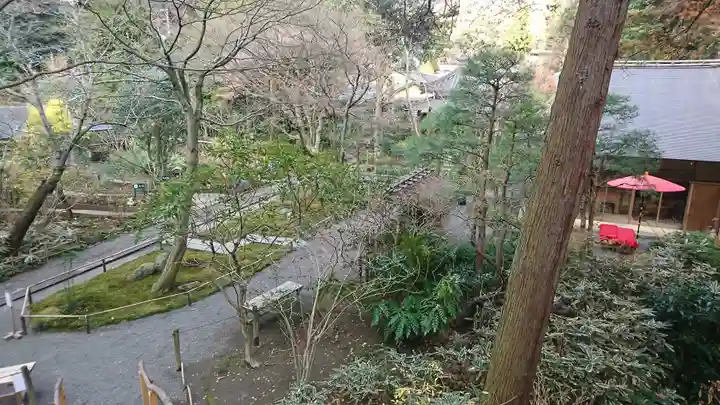 明月院(神奈川県)