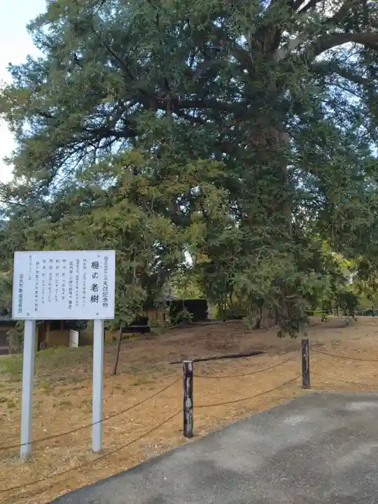 明光院(宮城県)