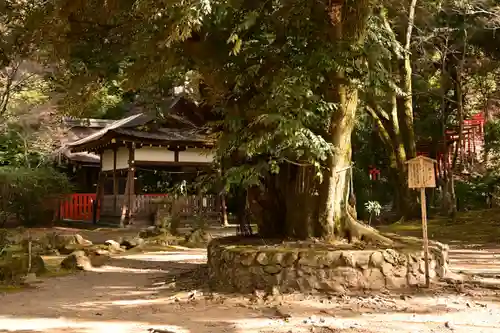 賀茂別雷神社（上賀茂神社）(京都府)