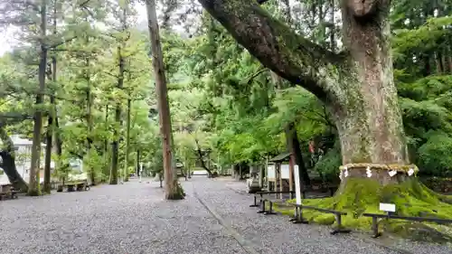 事任八幡宮(静岡県)