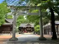 熊野神社(東京都)