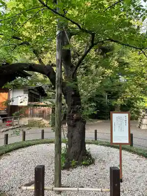 靖國神社(東京都)