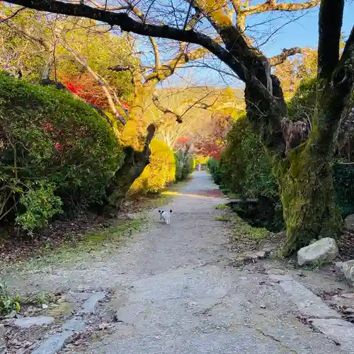 長岳寺のその他建物