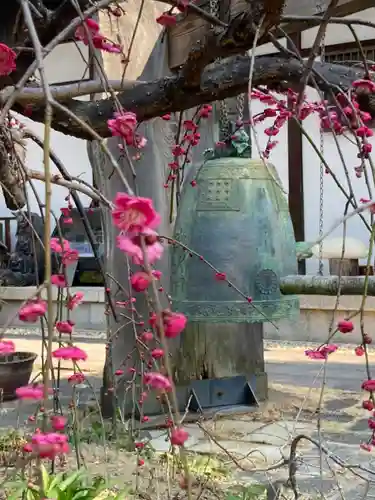 法楽寺のその他建物