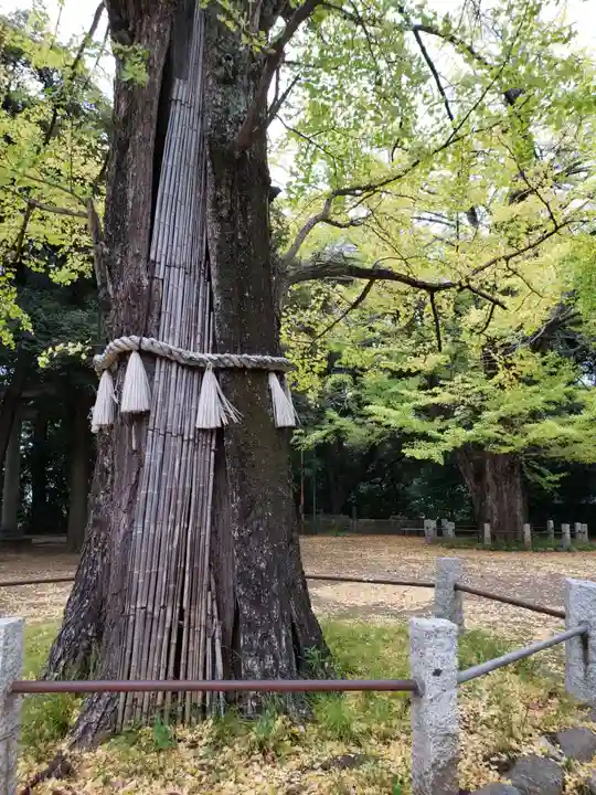 赤坂氷川神社(東京都)