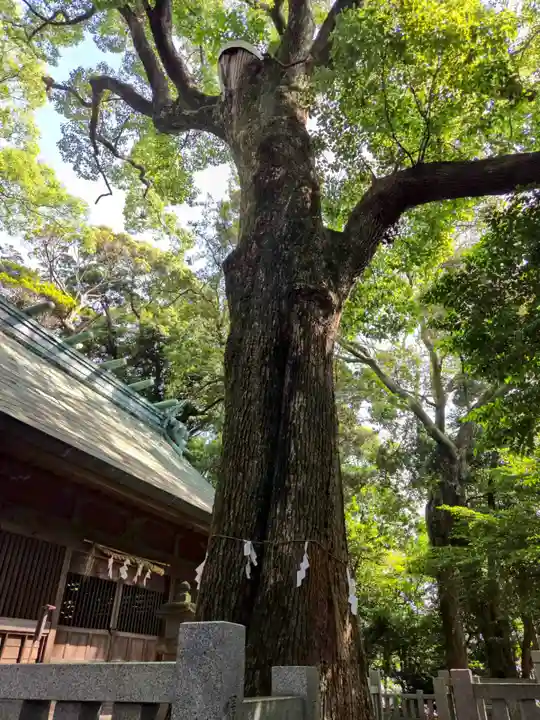 袖師神明宮(静岡県)
