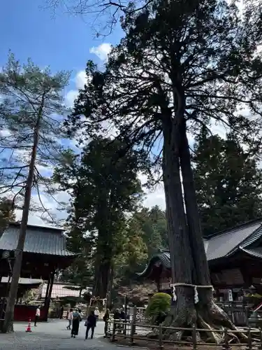 北口本宮冨士浅間神社の建物その他