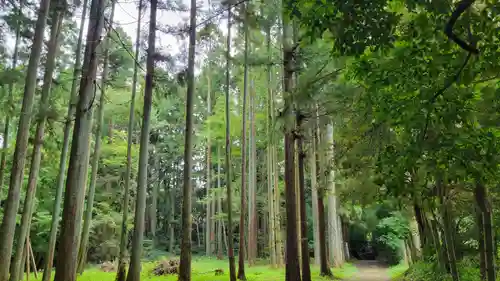 香取神宮の自然