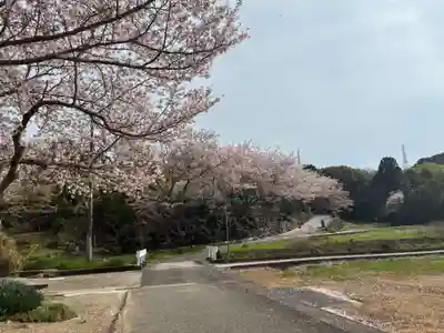 八坂神社(徳島県)