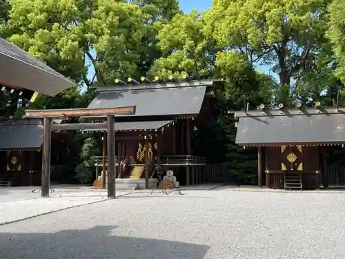 阿佐ヶ谷神明宮(東京都)