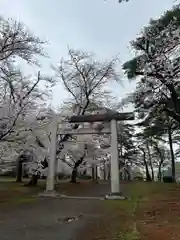 埼玉縣護國神社(埼玉県)