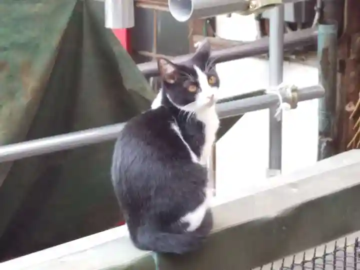 明竹稲荷宮 腰神不動神社(京都府)